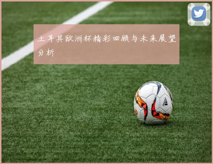 土耳其欧洲杯精彩回顾与未来展望分析